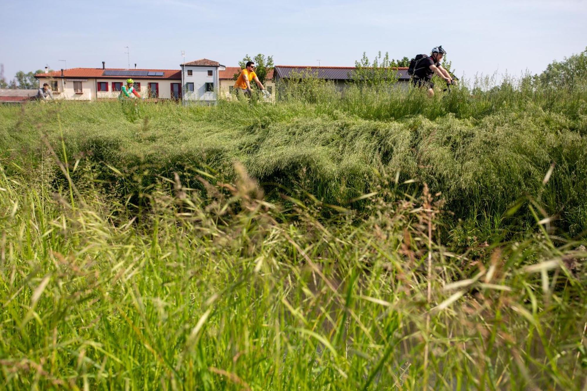Agriturismo Al Botteniga Treviso Eksteriør bilde