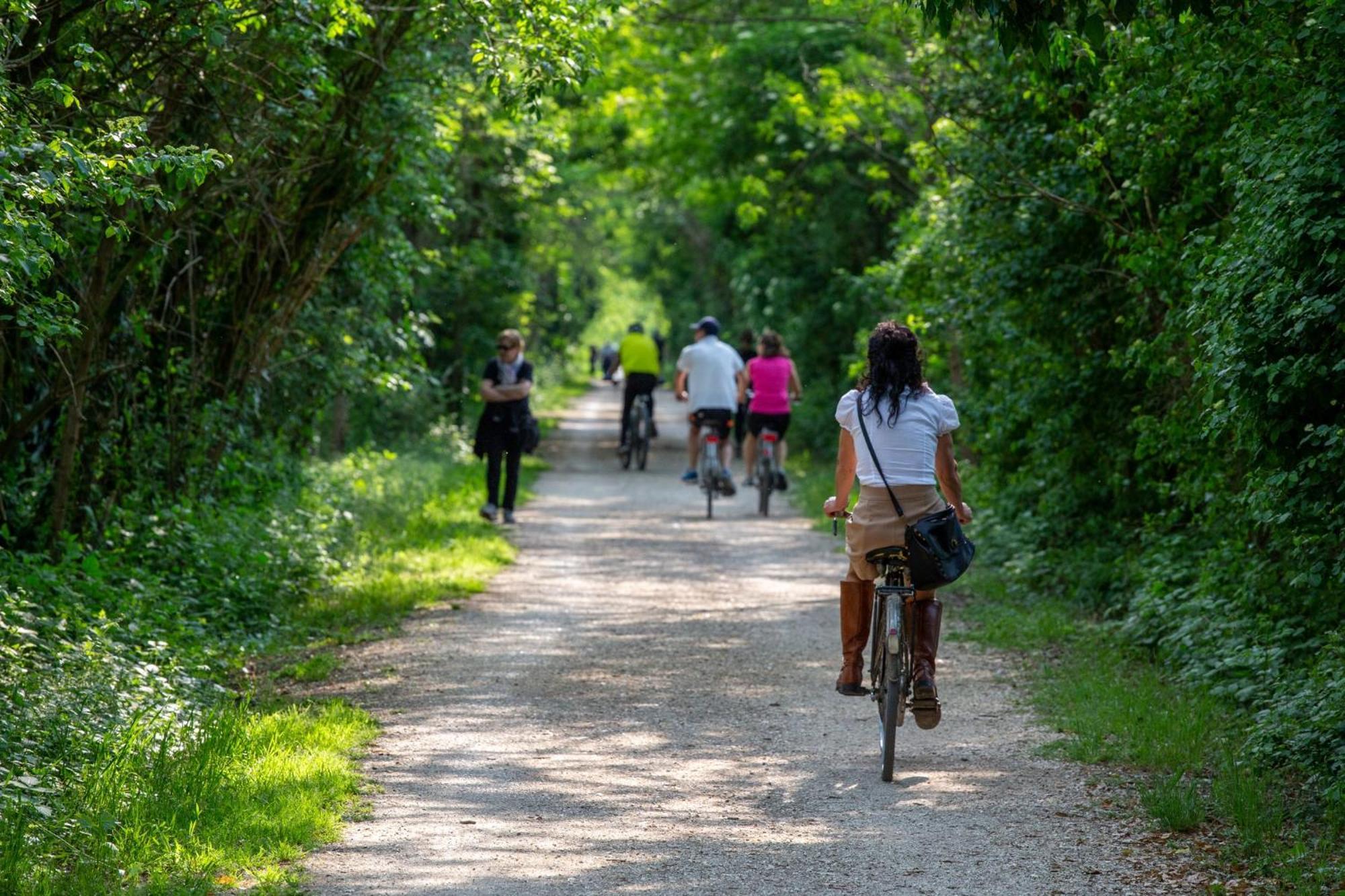 Agriturismo Al Botteniga Treviso Eksteriør bilde