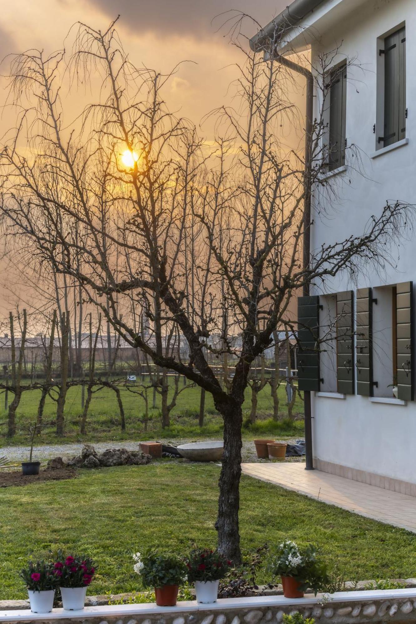 Agriturismo Al Botteniga Treviso Eksteriør bilde