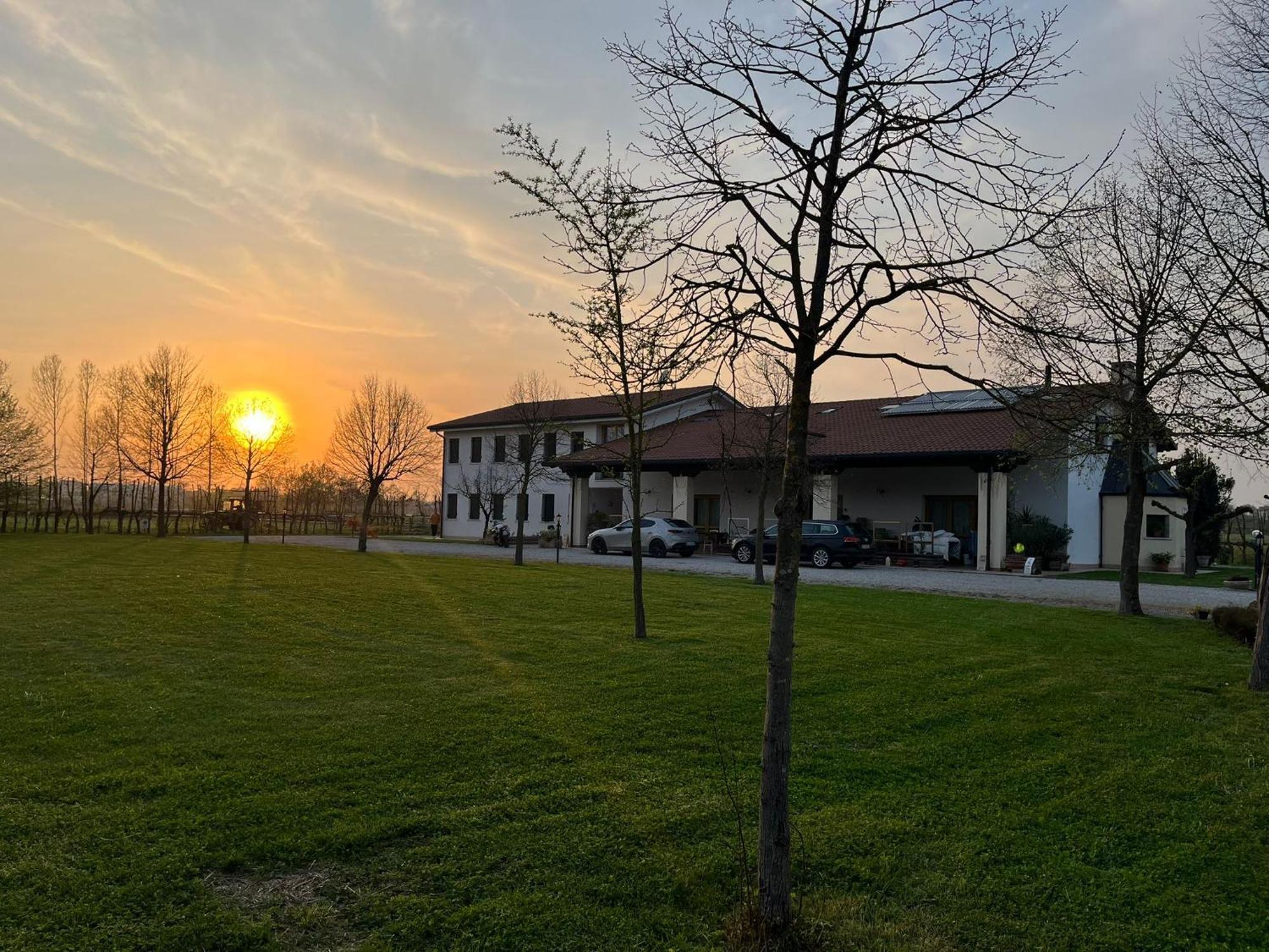 Agriturismo Al Botteniga Treviso Eksteriør bilde