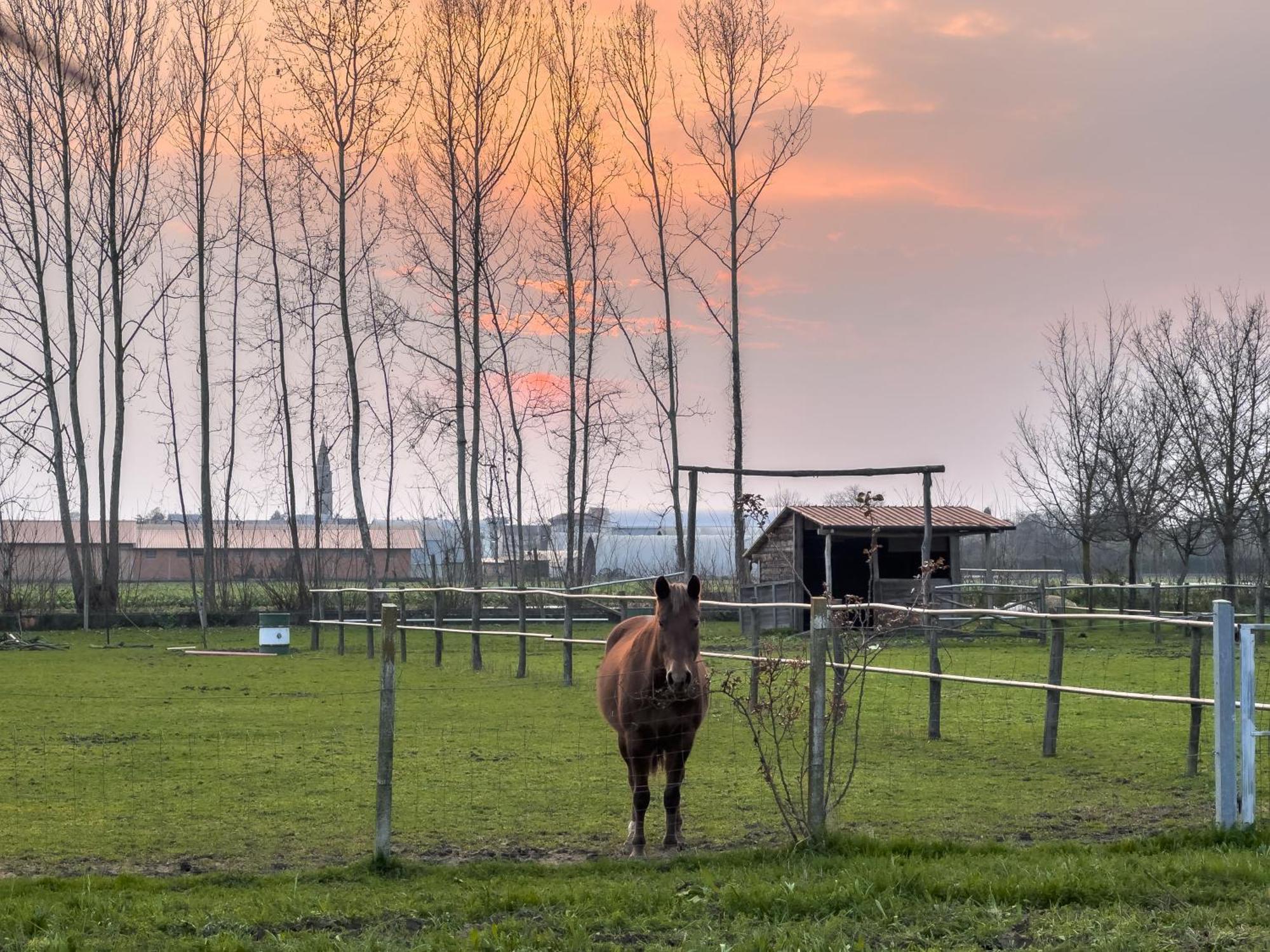 Agriturismo Al Botteniga Treviso Eksteriør bilde